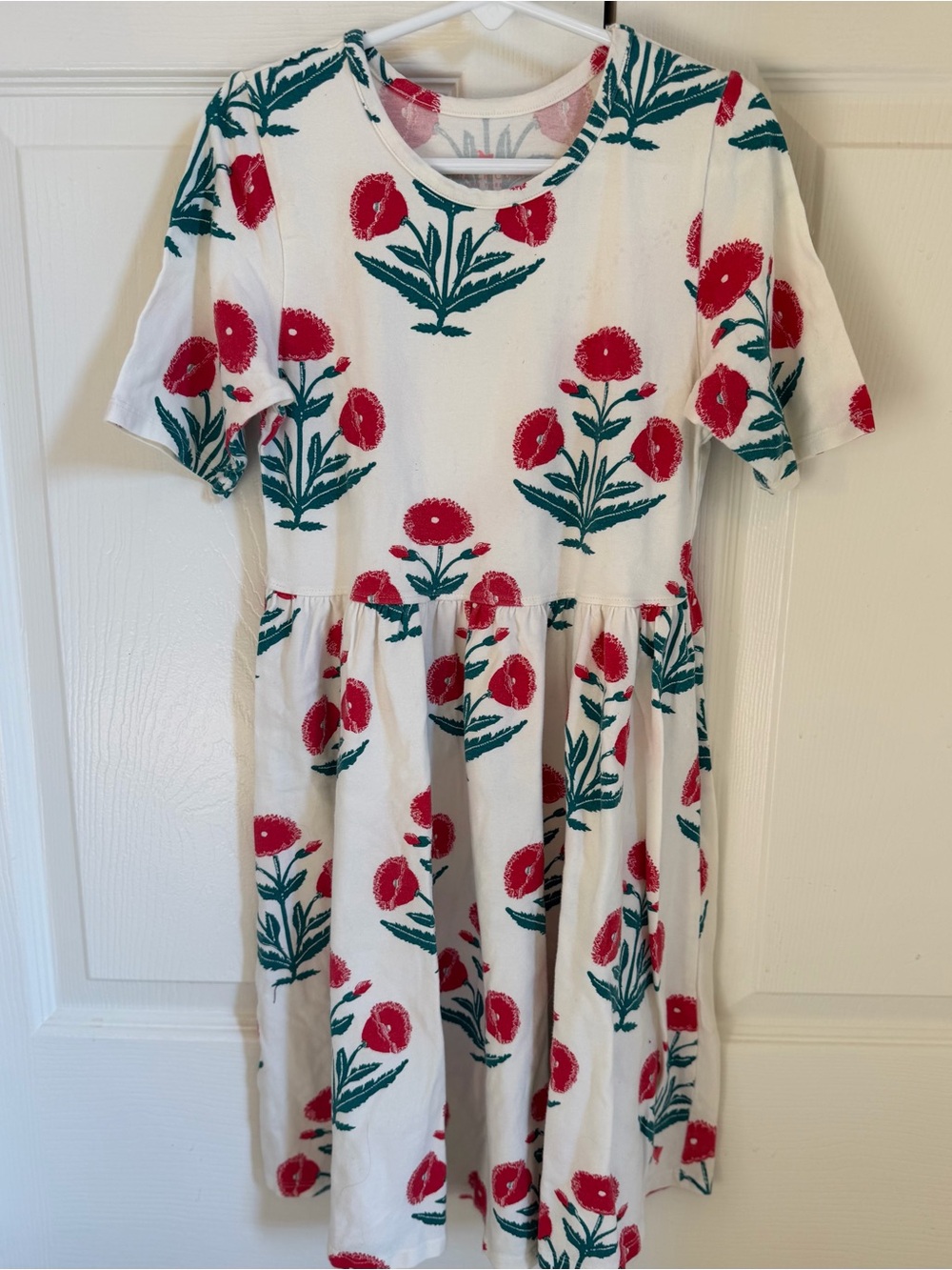 EUC Pink Chicken Girls Steph Red Dandelion dress size 10